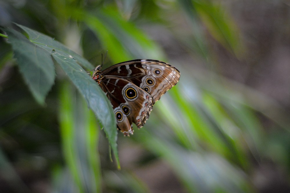 I can break my own heart